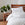 Public Goods Organic Duvet Cover