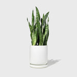 Public Goods Large Stoneware Planter